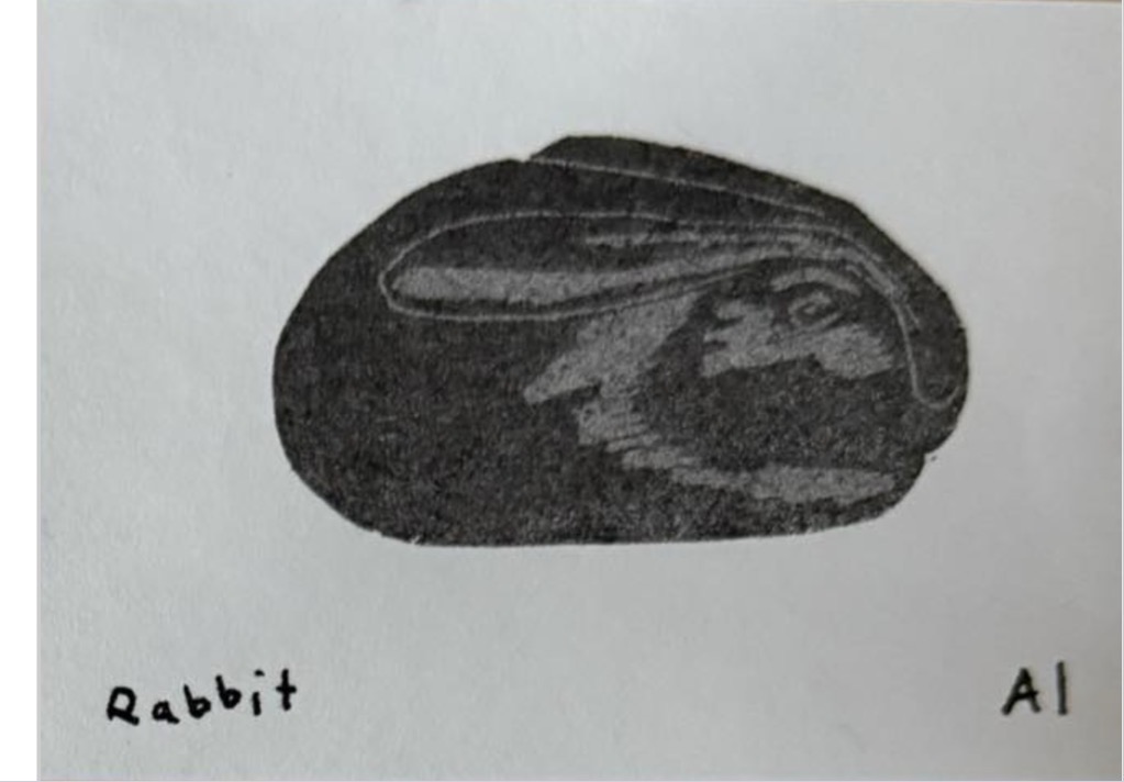 Rabbit