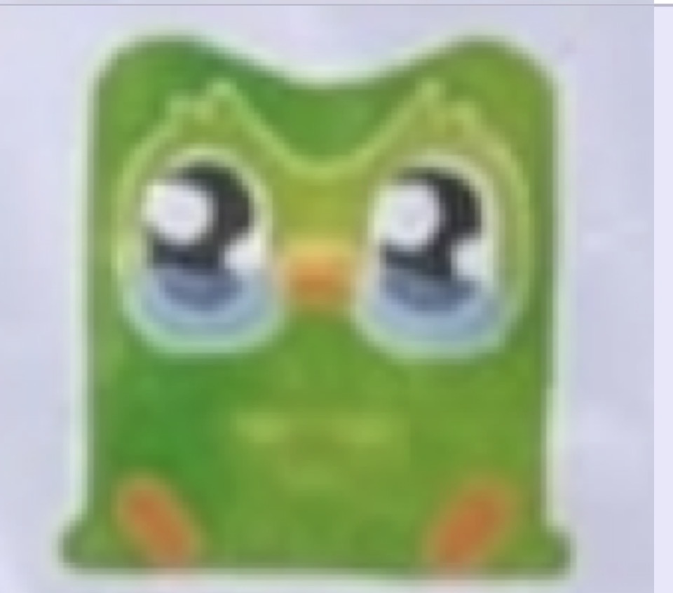 Duolingo - Sad