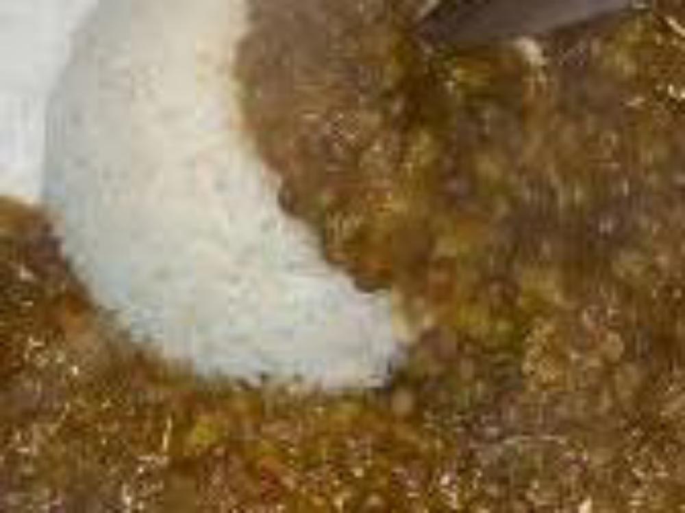 Masur ka Dal Rice Slad