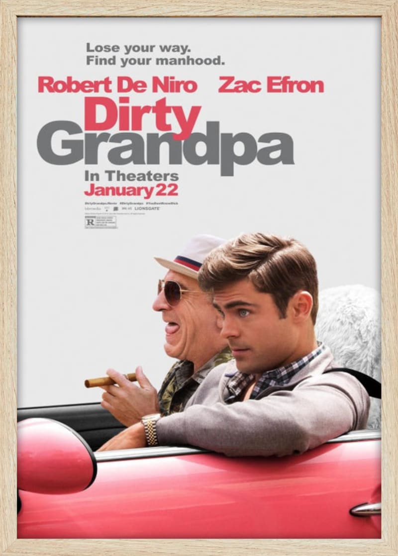 Dirty Grandpa (2016) Framed Movie Poster Print