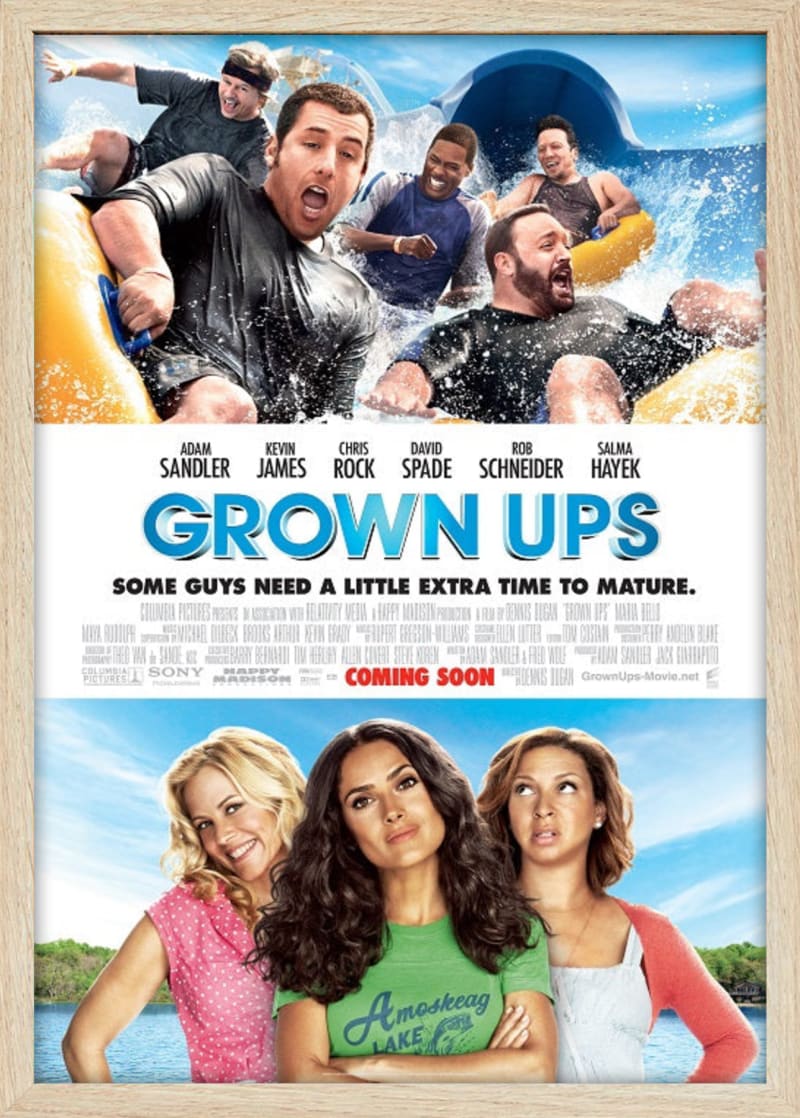 Grown Ups (2010) Framed Movie Poster Print