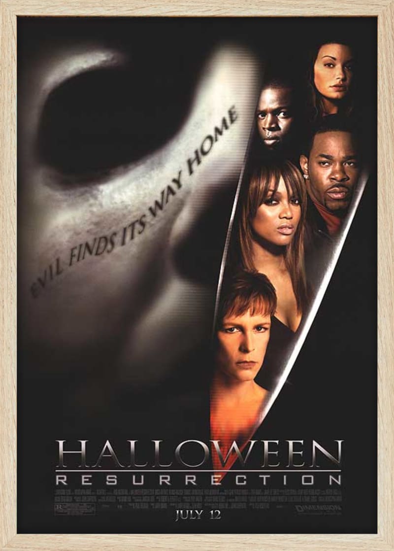 Halloween Resurrection (2002) Framed Movie Poster Print