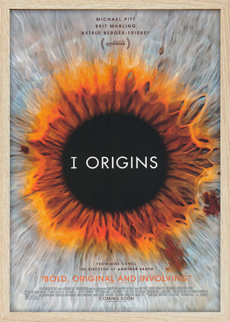 I Origins (2014) Framed Movie Poster Print