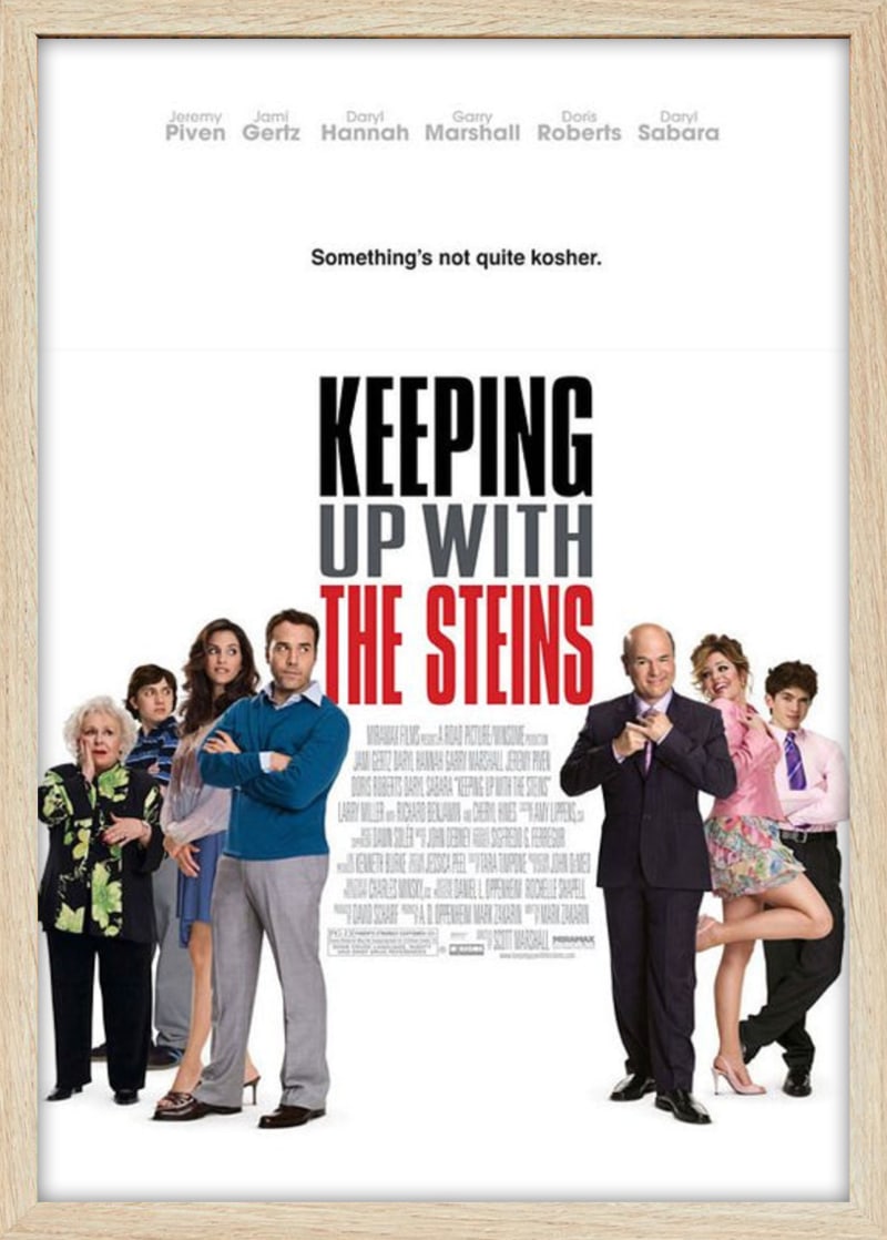 Keeping Up With the Steins (2006) Framed Movie Poster Print