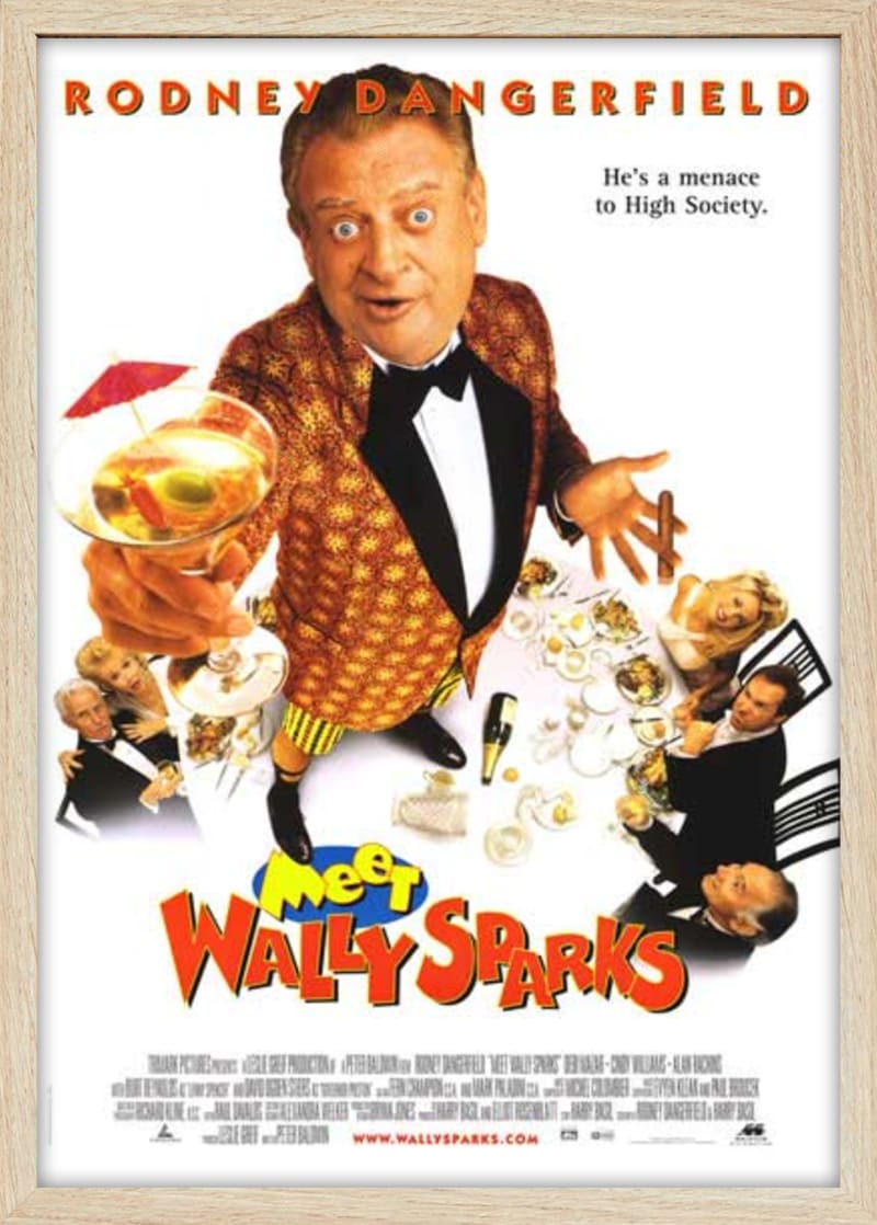 Meet Wally Sparks (1996) Framed Movie Poster Print