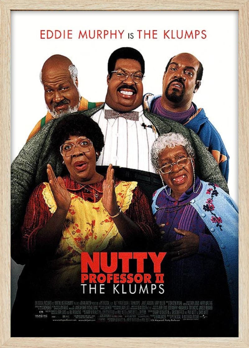Nutty Professor II: The Klumps (2000) Framed Movie Poster Print