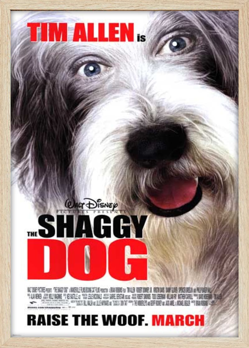 Shaggy Dog (2006) Framed Movie Poster Print
