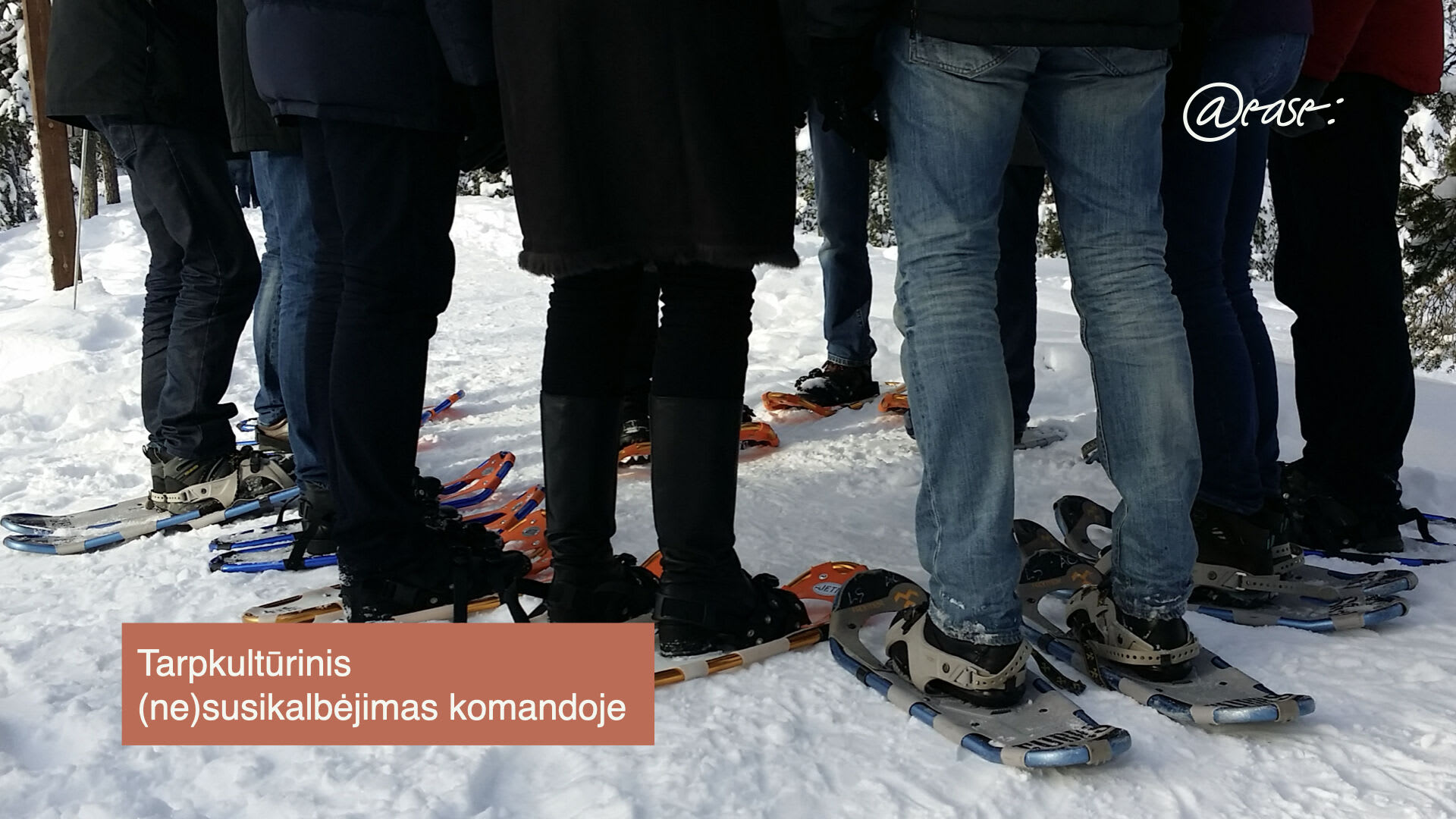 Tarpkultūrinis (ne)susikalbėjimas komandoje