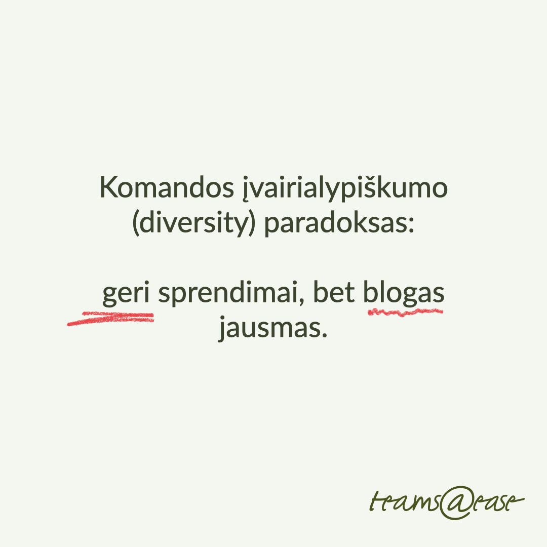 Įvairialypė (diverse) komanda