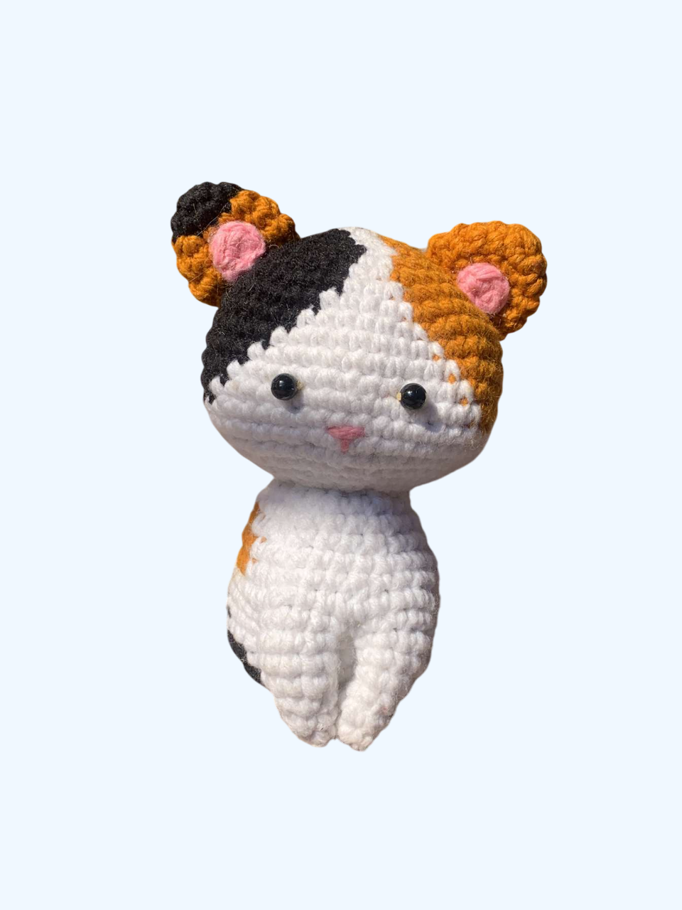 Mochi the Calico Cat