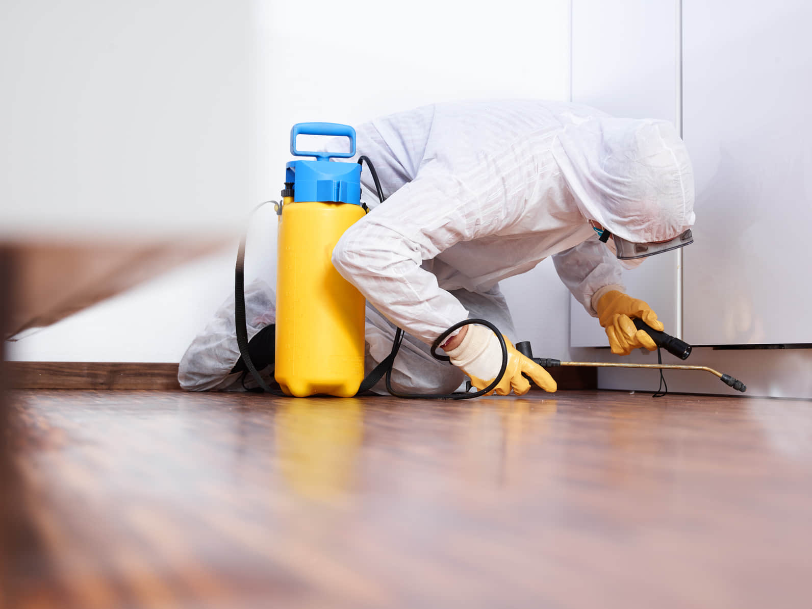 pest control image