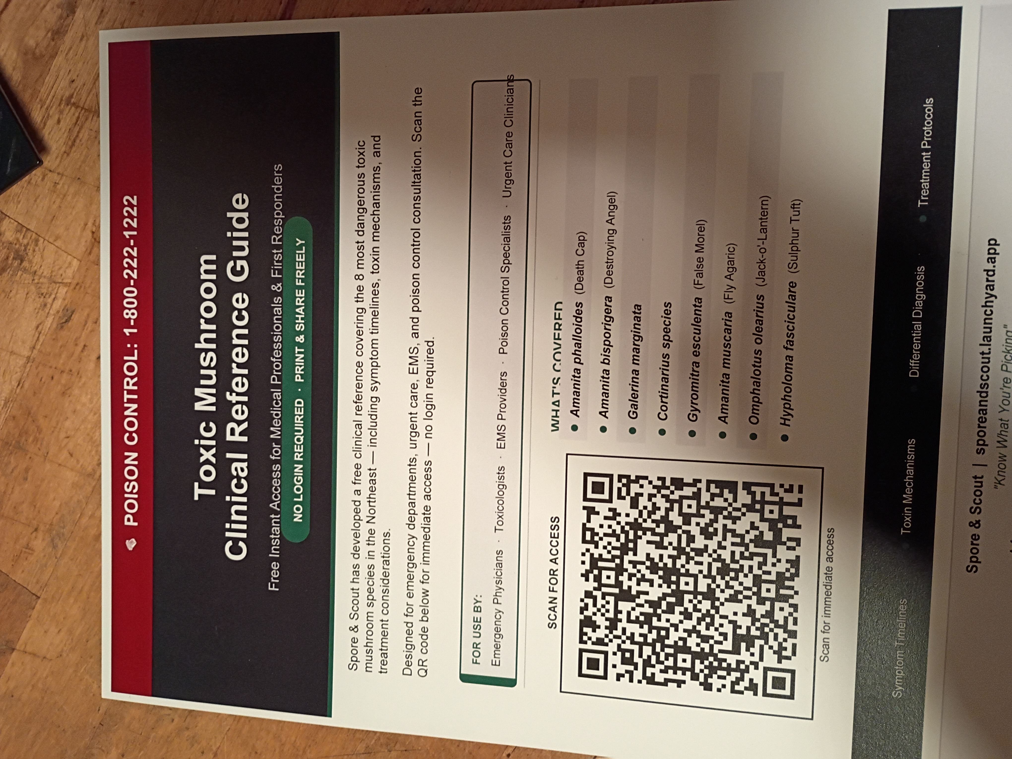 "Northeast Toxic Mushroom Clinical Reference flyer for Spore & Scout — a navy blue header with the title and a red poison control banner, a green 'no login required' badge, a QR code linking to the online guide, and a list of documented toxic species for the Northeast region with emergency protocol 