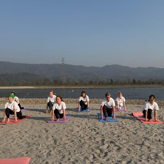 Group of Yoga Teacher Training in India Student doing asana practice at beach yoga day