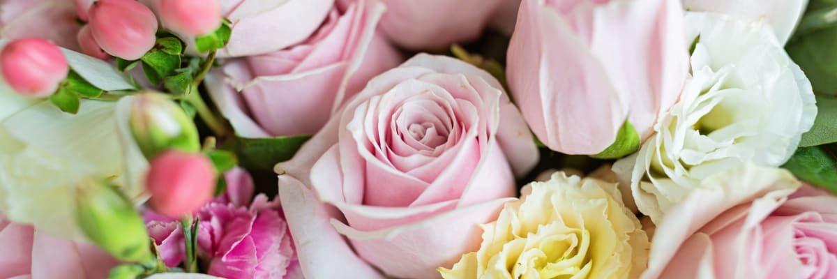 MO BLUMEN expands same-day flower delivery across all 23 districts of Vienna
