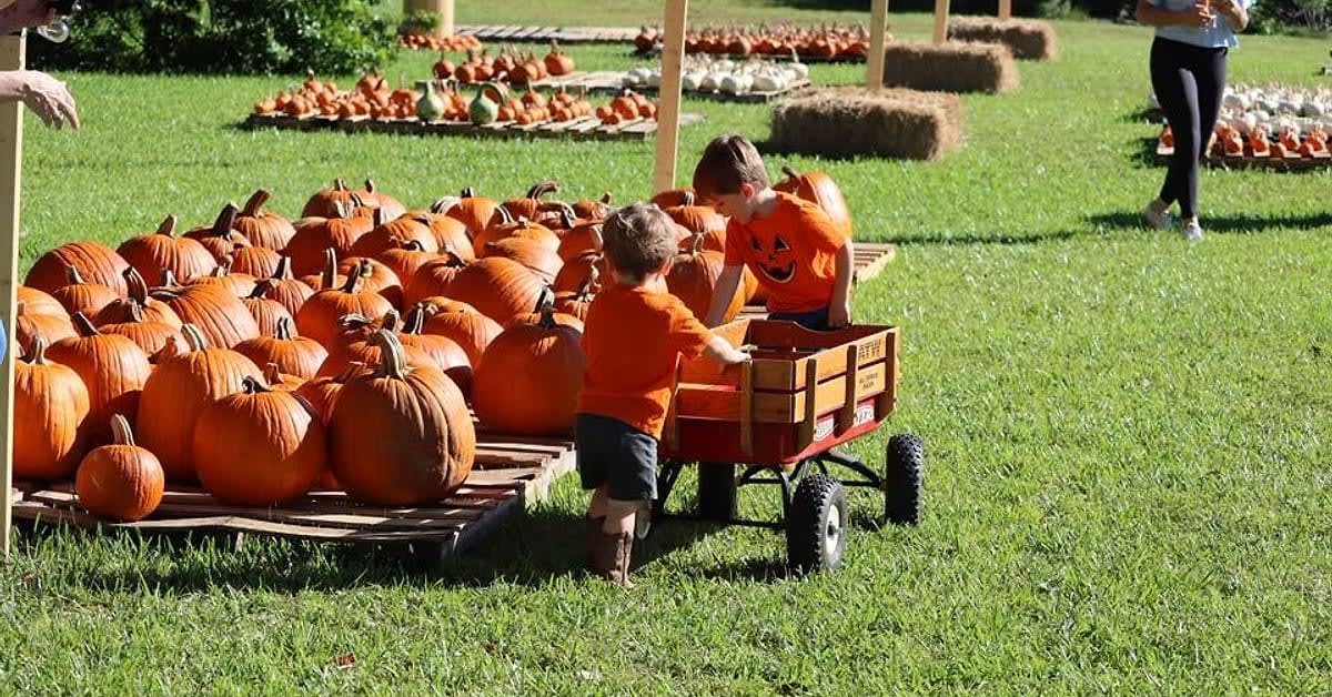 Two kids loading a pumpkin into a red wagon at The Great Pumpkin Patch of Palmetto