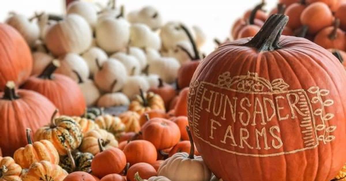 A pile of orange and white pumpkins at Hunsader Farms, with the farm's name carved into the one out front