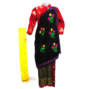 Sikkim's Traditional Saree - Image 5