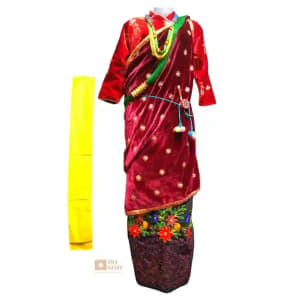 Sikkim's Traditional Saree - Image 4