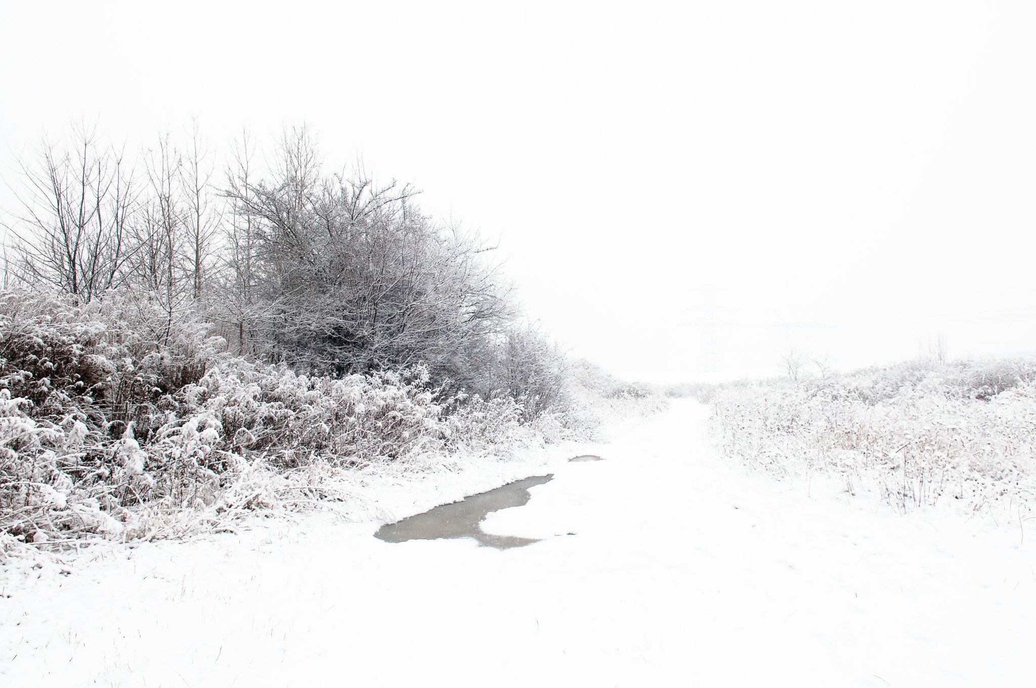 Winter