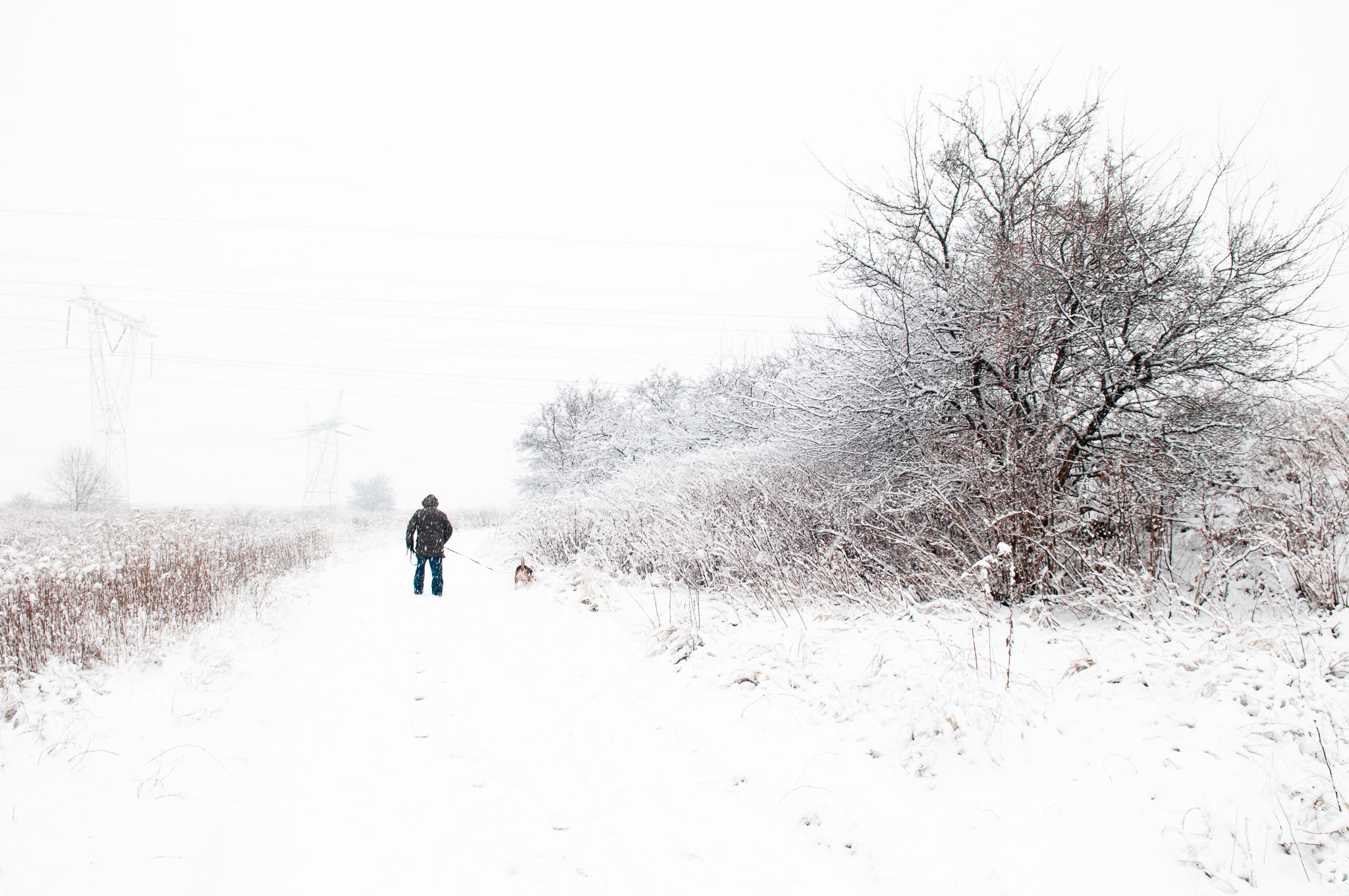Winter