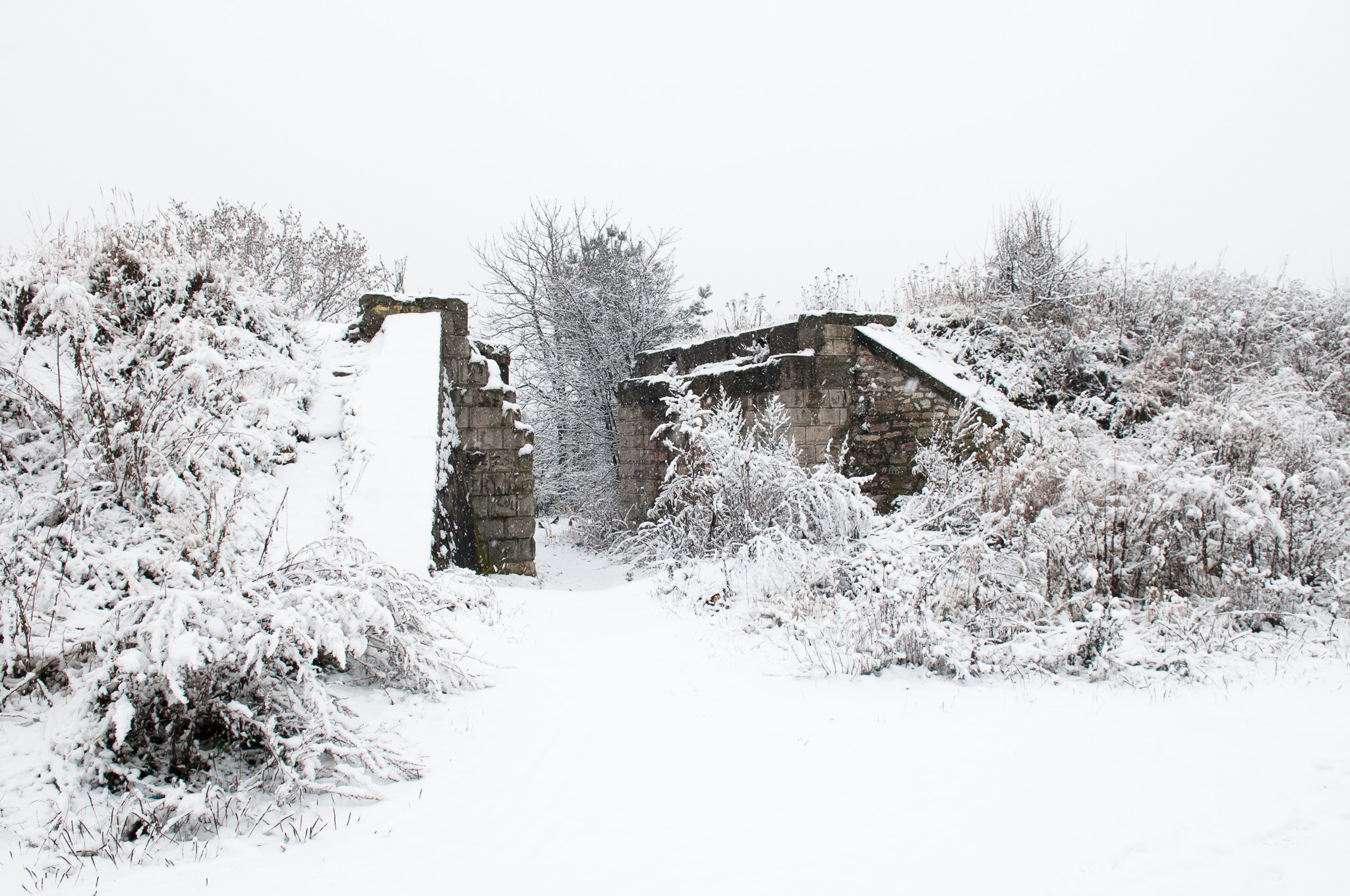 Winter