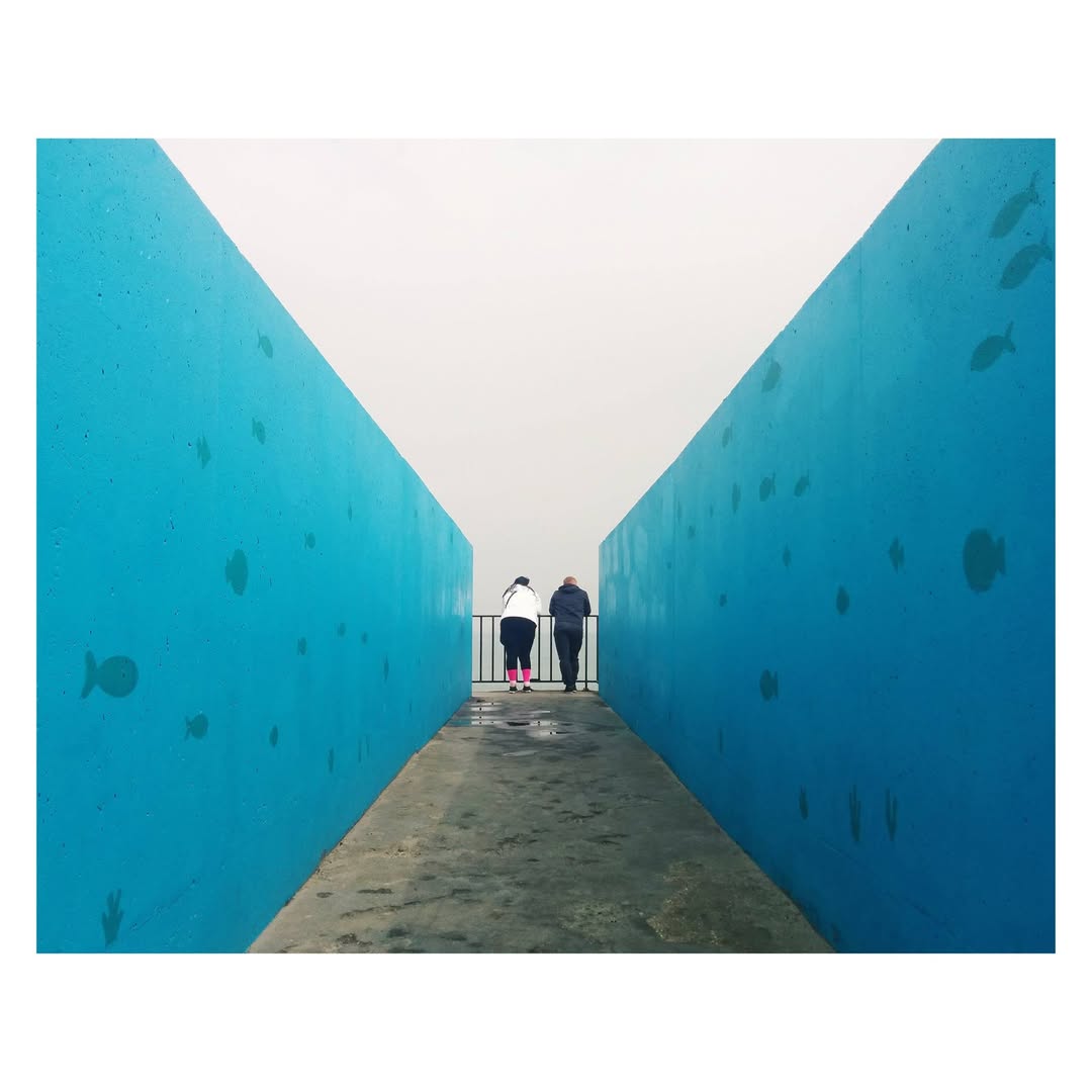 Migration