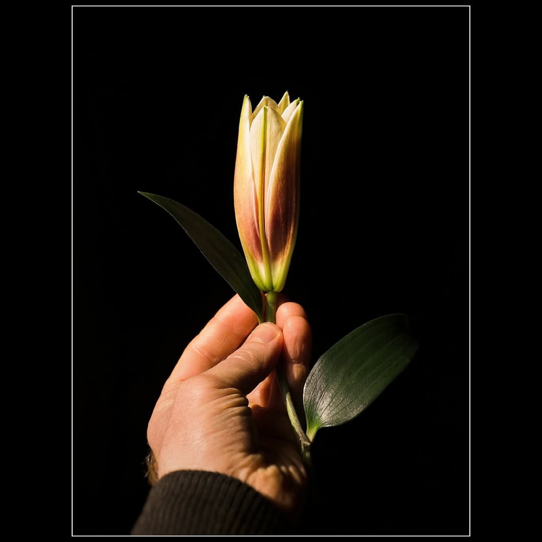 For Her