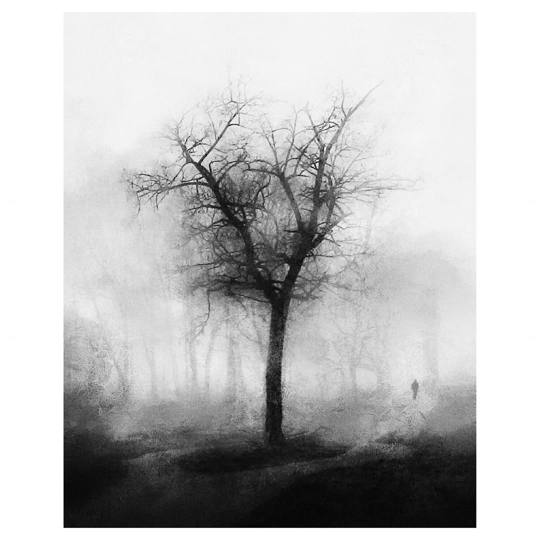 Solitude