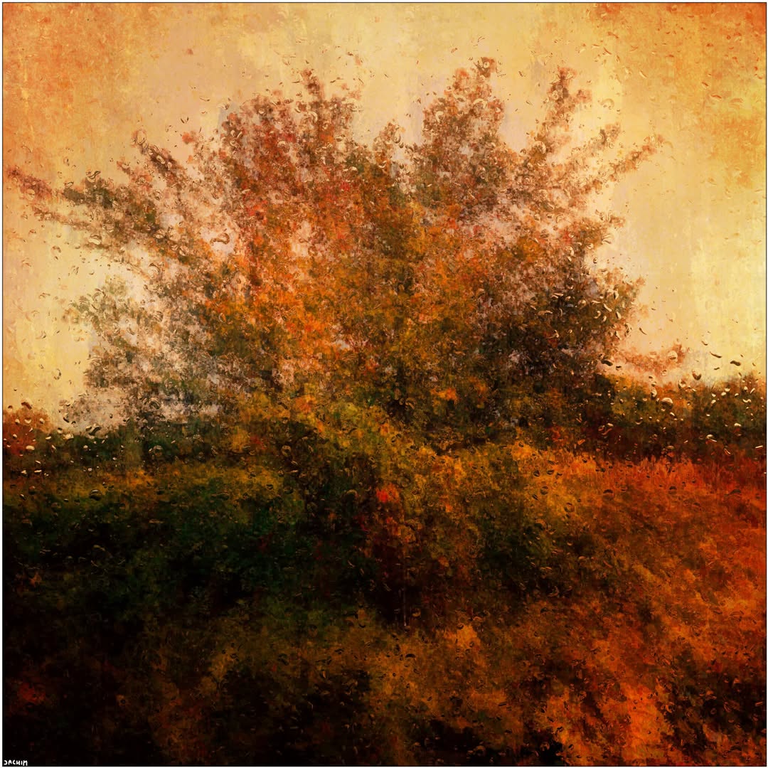 Autumn mood