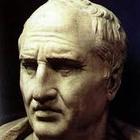 Immagine dell'autore.