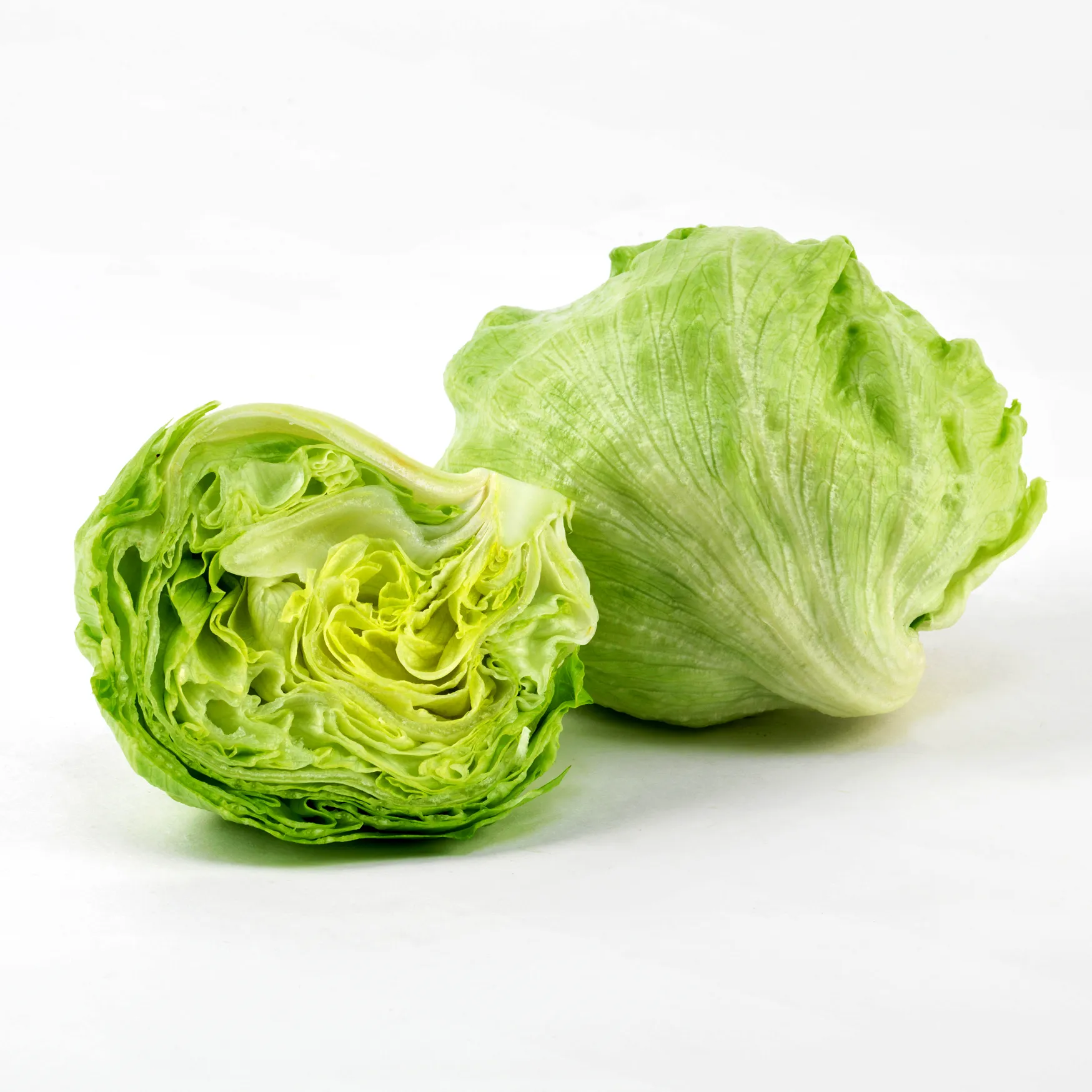 Lechuga