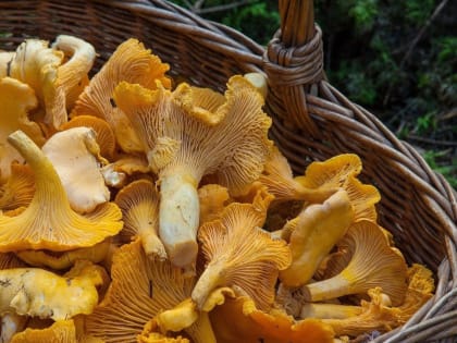 Погода в Башкирии: дожди уходят, солнце приходит