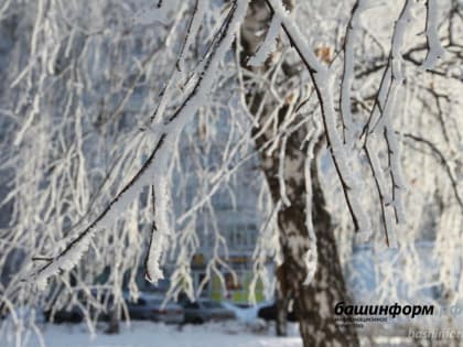 Синоптики рассказали, каким будет начало следующей недели в Башкирии