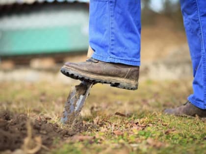 Брикет в ведро с водой – и даже каменная почва легче пуха: чернозем завозить не придется