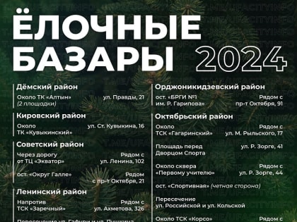 Ёлочные базары в Уфе: новогодняя традиция продолжается