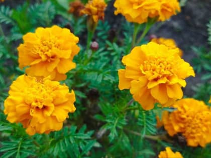 Переменная погода в Башкирии: от тепла до холода