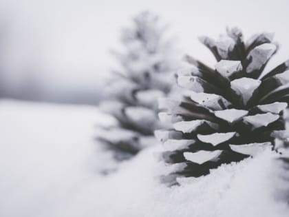 Прогноз погоды в Башкирии на выходные дни
