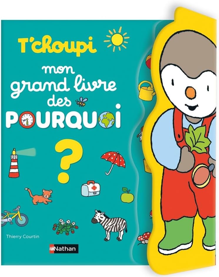 Vue 6 de La Patpatrouille Je Decouvre