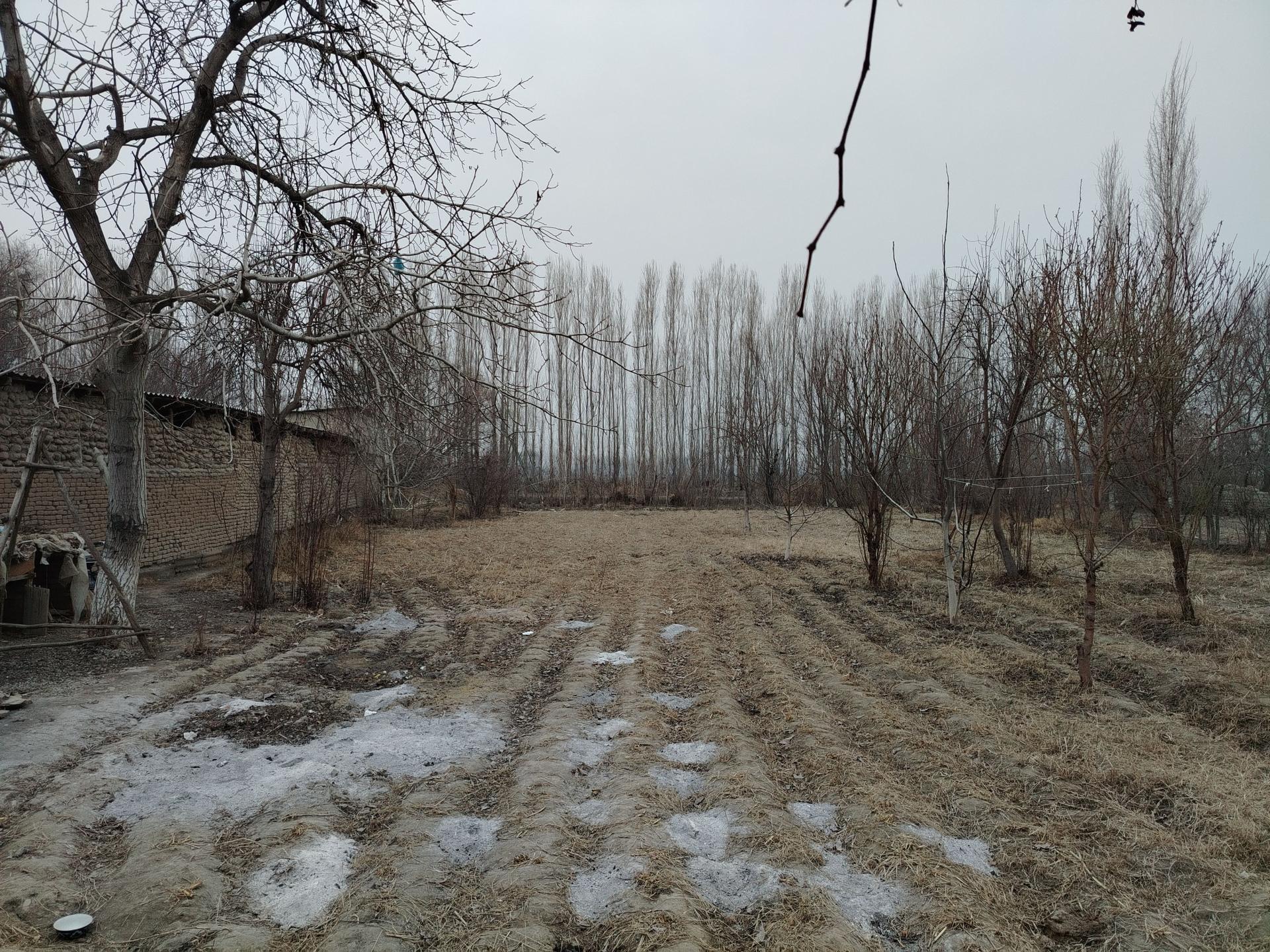 Farg'ona viloyati rishton tumani Terak Tagi qishlog'i 42 xonadon 