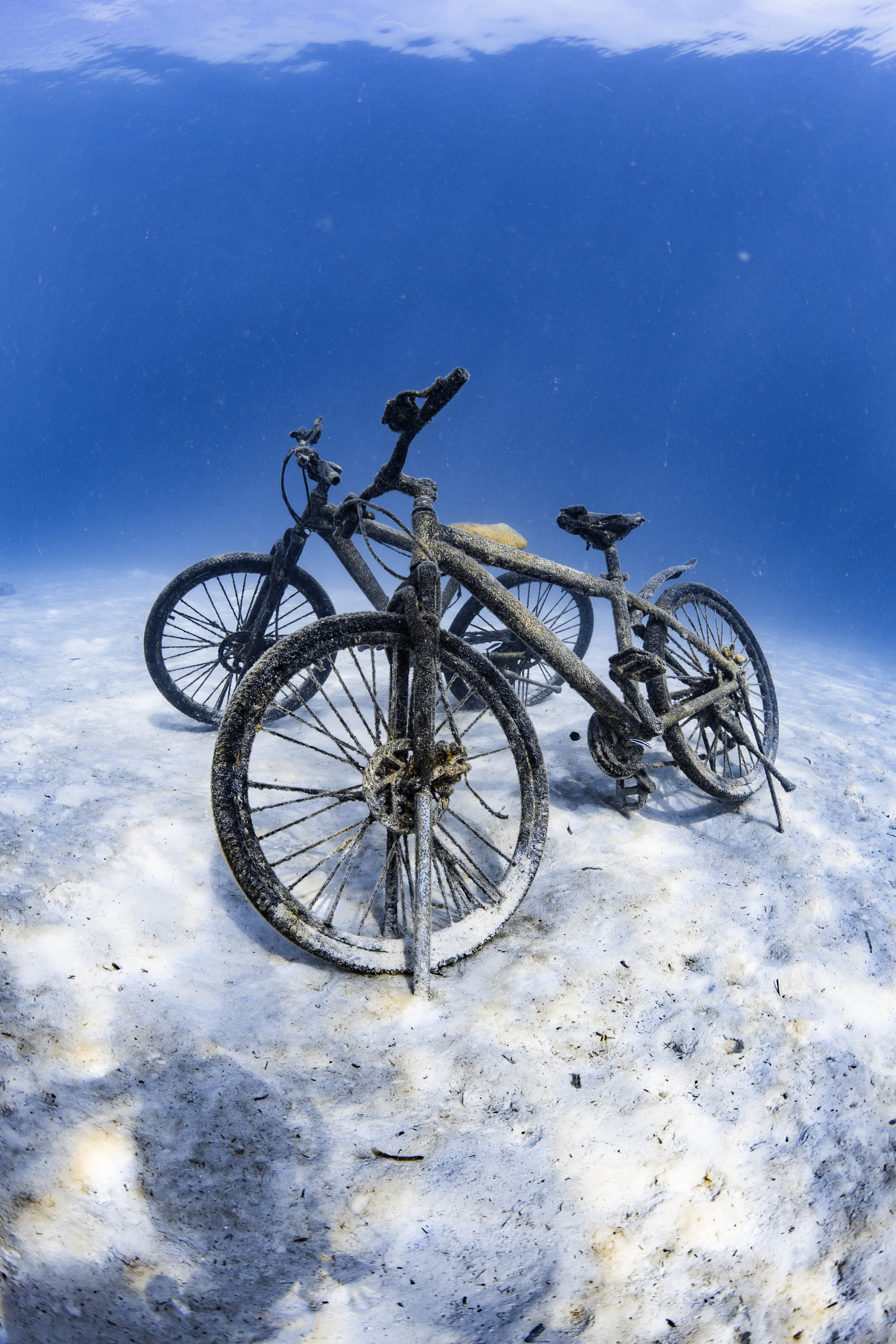 Bicycles submerged in clear blue water