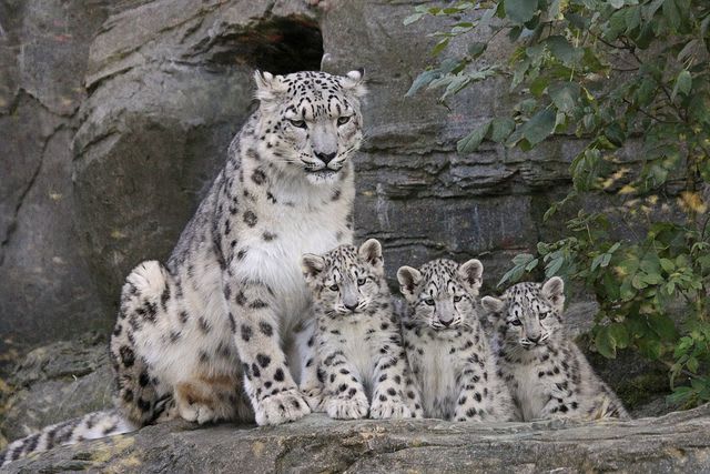 Hire a car and driver in Nepalgunj