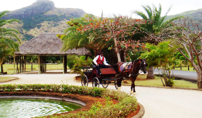 Hire a car and driver in Pailles