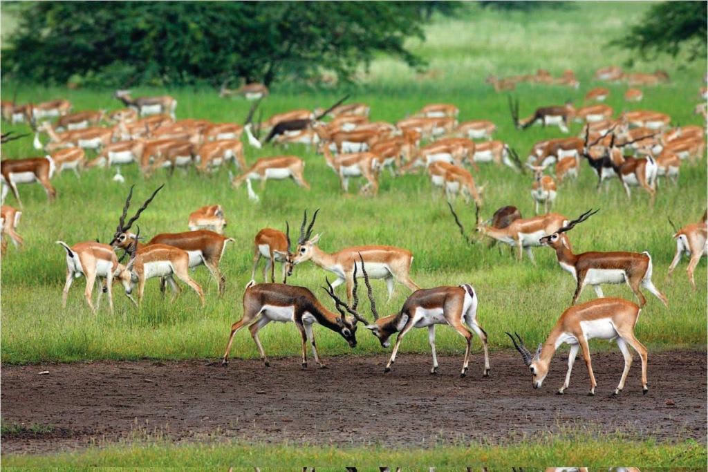 Hire a car and driver in Punarbas