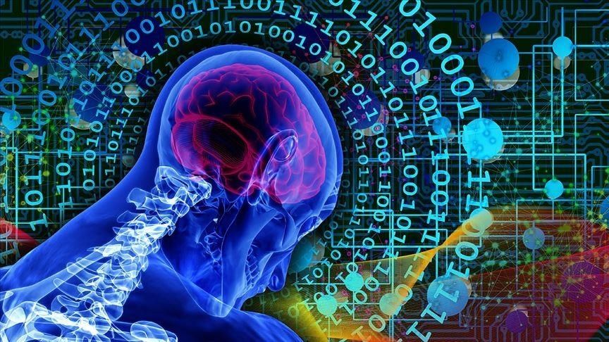 Biocomputers Spark Ethical Debate as Tech Blurs Lines