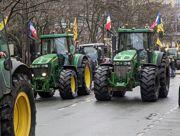French Farmers Protest Cattle Culling Rules Amid Disease Outbreak