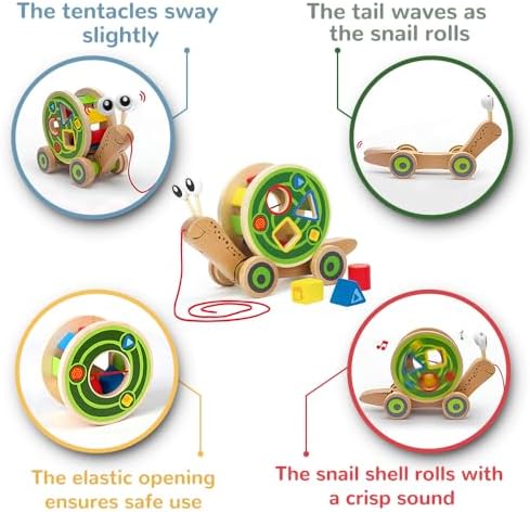 Vue 6 de Hape Escargot Jouet En