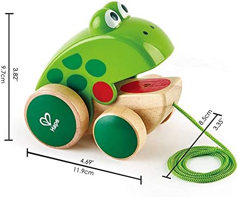 Vue 3 de Hape Grenouille Jouet En