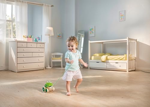 Vue 4 de Hape Grenouille Jouet En