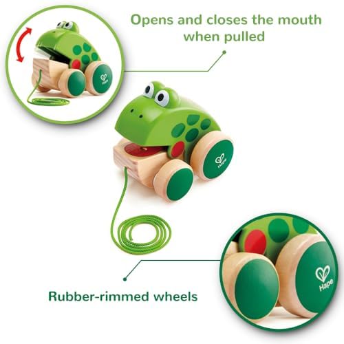 Vue 5 de Hape Grenouille Jouet En