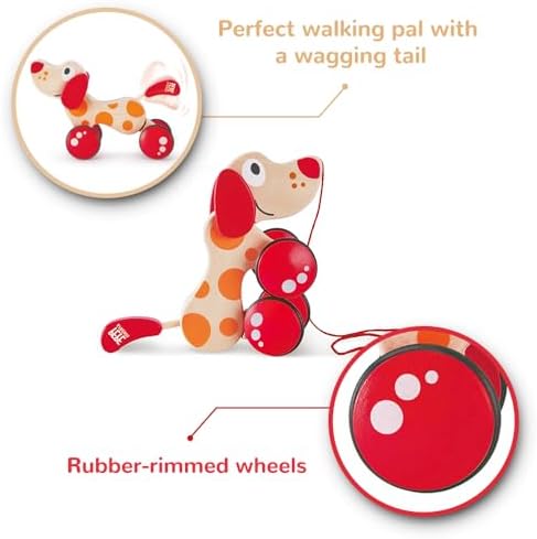 Vue 5 de Hape Chien Jouet En